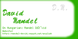 david mandel business card